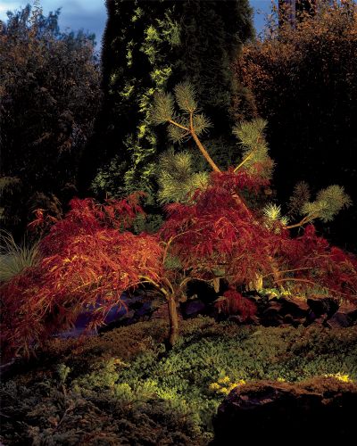 Norlys Sande Terræn Spot