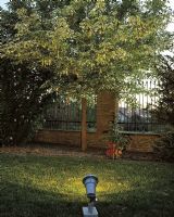 Norlys Sande Terræn Spot