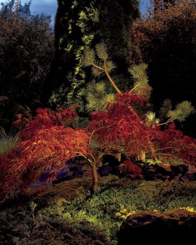 Norlys Rena Nedgravningsspot - Rund - Klar