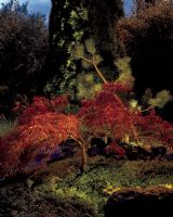 Norlys Rena Nedgravningsspot - Firkantet - Belysning