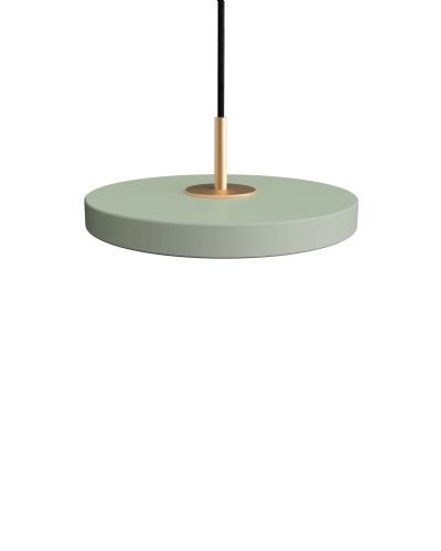 Asteria Micro Pendel - Oliven