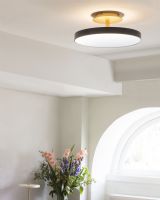 Asteria Up Medium Loftlampe - Antracit/Grå