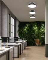 Asteria Up Large Loftlampe - Sort