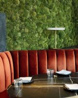 Asteria Bordlampe - Pearl/Hvid