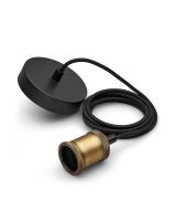 Philips MyLiving Retro Pendel - Guld