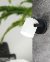 Eglo Hornwood Væglampe - Hvid